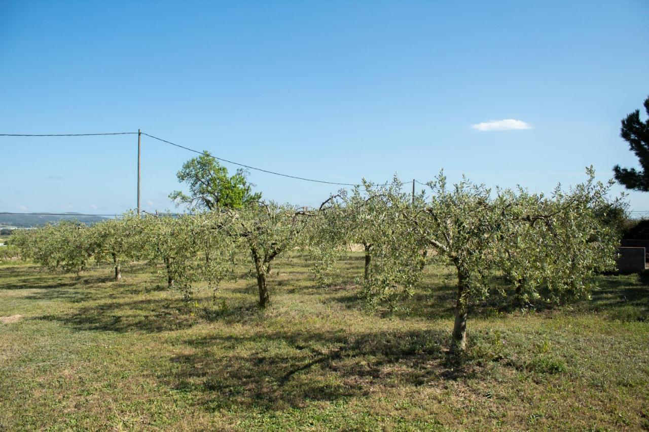Romegosa Benestar Villa Sant Marcal Bagian luar foto