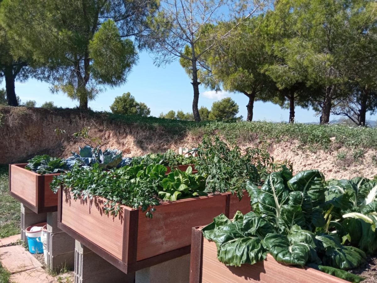 Romegosa Benestar Villa Sant Marcal Bagian luar foto