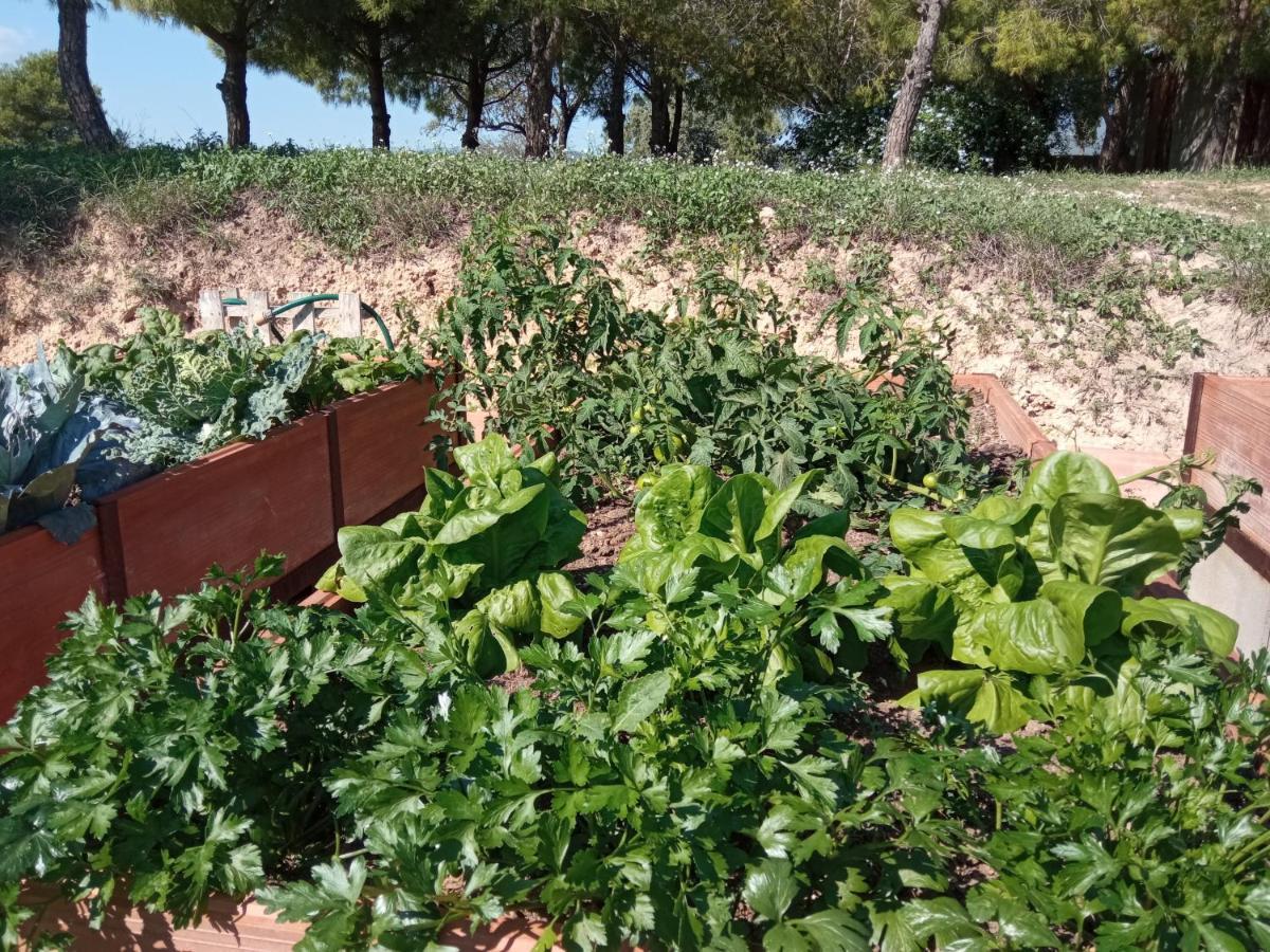 Romegosa Benestar Villa Sant Marcal Bagian luar foto