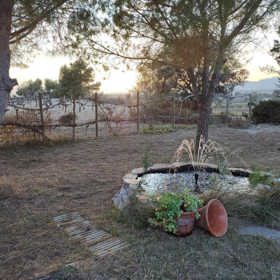 Romegosa Benestar Villa Sant Marcal Bagian luar foto